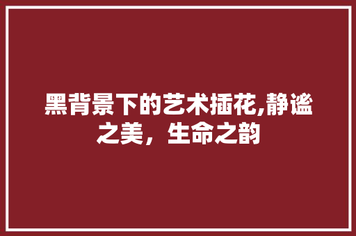 黑背景下的艺术插花,静谧之美，生命之韵