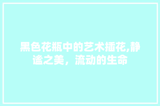 黑色花瓶中的艺术插花,静谧之美，流动的生命