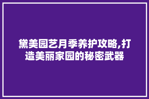 黛美园艺月季养护攻略,打造美丽家园的秘密武器