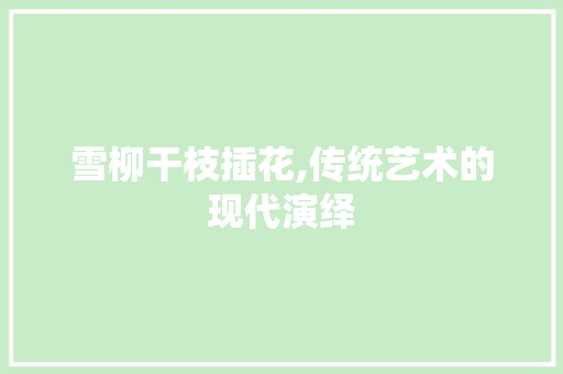 雪柳干枝插花,传统艺术的现代演绎