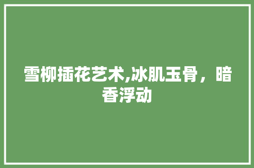 雪柳插花艺术,冰肌玉骨，暗香浮动