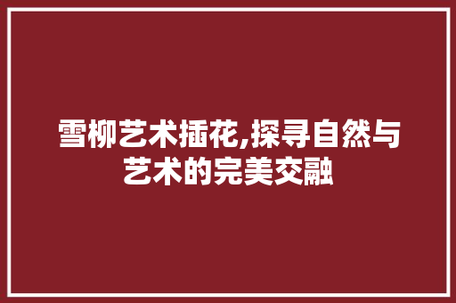 雪柳艺术插花,探寻自然与艺术的完美交融
