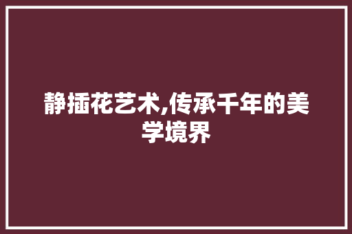 静插花艺术,传承千年的美学境界