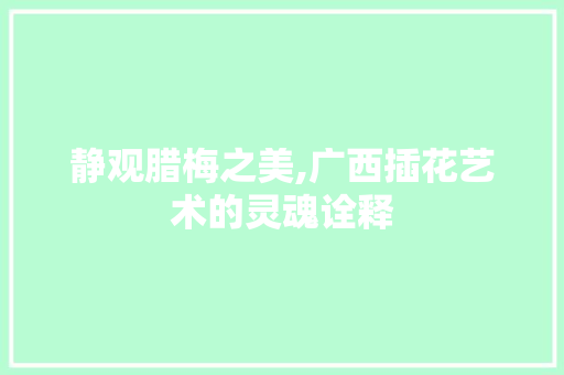 静观腊梅之美,广西插花艺术的灵魂诠释