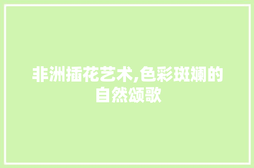 非洲插花艺术,色彩斑斓的自然颂歌 嫁接育苗