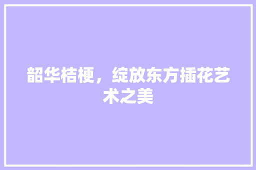 韶华桔梗，绽放东方插花艺术之美