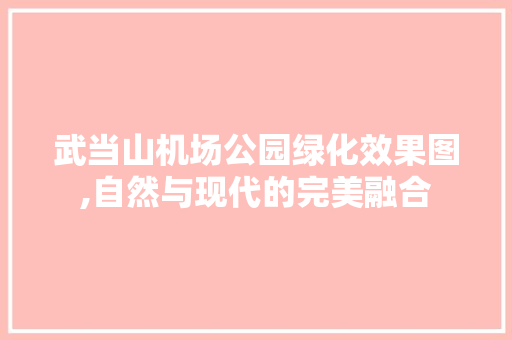 武当山机场公园绿化效果图,自然与现代的完美融合