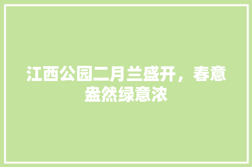 江西公园二月兰盛开，春意盎然绿意浓 无土育苗