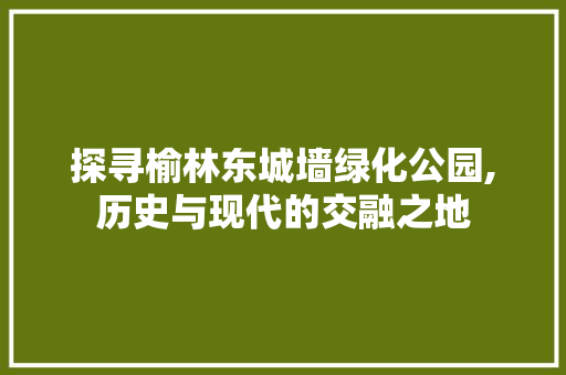 探寻榆林东城墙绿化公园,历史与现代的交融之地 温室育苗