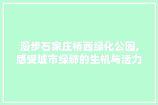 漫步石家庄桥西绿化公园,感受城市绿肺的生机与活力