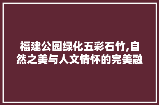 福建公园绿化五彩石竹,自然之美与人文情怀的完美融合