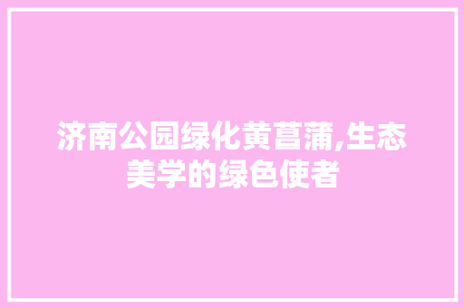 济南公园绿化黄菖蒲,生态美学的绿色使者 无土育苗