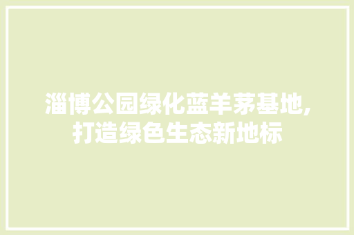 淄博公园绿化蓝羊茅基地,打造绿色生态新地标