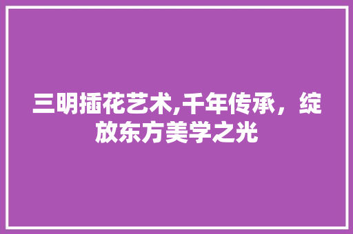 三明插花艺术,千年传承，绽放东方美学之光
