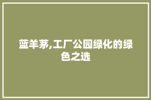 蓝羊茅,工厂公园绿化的绿色之选 温室育苗