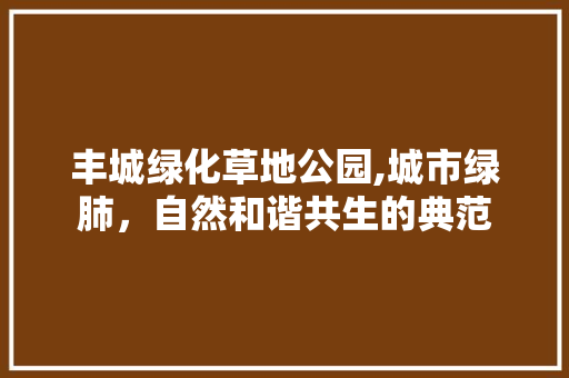 丰城绿化草地公园,城市绿肺，自然和谐共生的典范