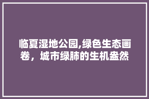 临夏湿地公园,绿色生态画卷，城市绿肺的生机盎然