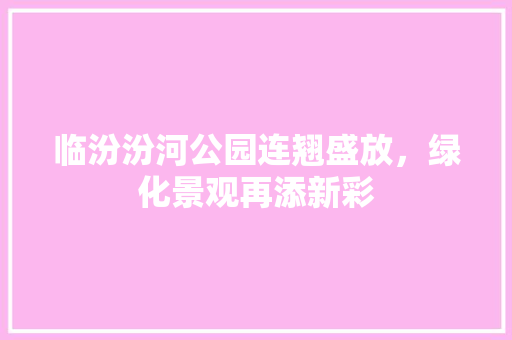临汾汾河公园连翘盛放，绿化景观再添新彩