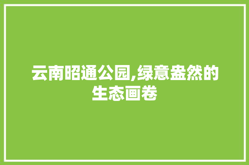 云南昭通公园,绿意盎然的生态画卷