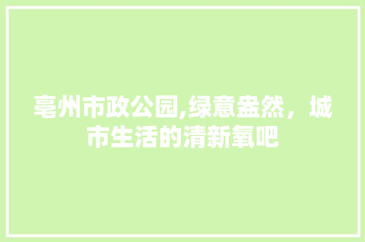亳州市政公园,绿意盎然，城市生活的清新氧吧 蔬菜育苗