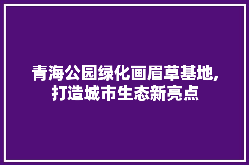 青海公园绿化画眉草基地,打造城市生态新亮点