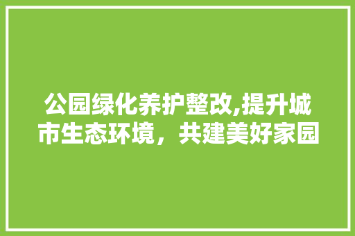 公园绿化养护整改,提升城市生态环境，共建美好家园