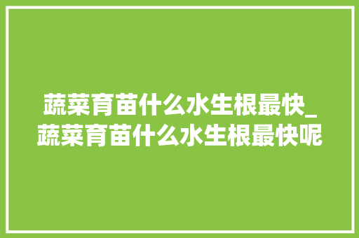 蔬菜育苗什么水生根最快_蔬菜育苗什么水生根最快呢