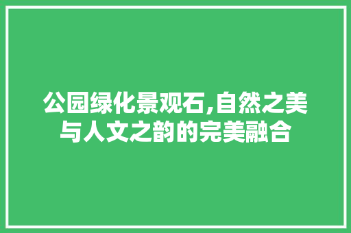公园绿化景观石,自然之美与人文之韵的完美融合