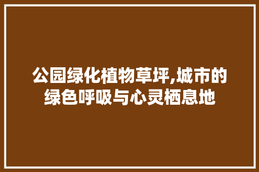 公园绿化植物草坪,城市的绿色呼吸与心灵栖息地