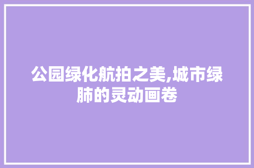 公园绿化航拍之美,城市绿肺的灵动画卷