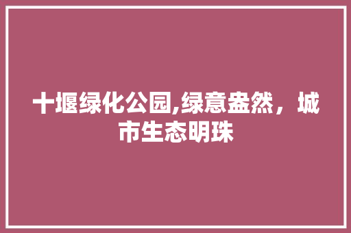 十堰绿化公园,绿意盎然，城市生态明珠