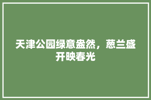 天津公园绿意盎然，葱兰盛开映春光 水果育苗
