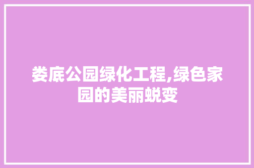 娄底公园绿化工程,绿色家园的美丽蜕变
