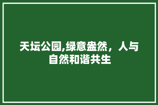 天坛公园,绿意盎然，人与自然和谐共生
