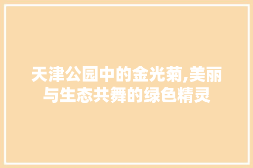 天津公园中的金光菊,美丽与生态共舞的绿色精灵