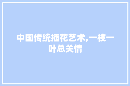 中国传统插花艺术,一枝一叶总关情