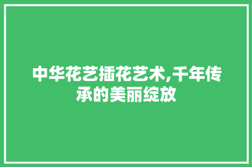 中华花艺插花艺术,千年传承的美丽绽放