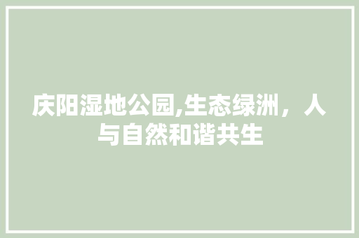 庆阳湿地公园,生态绿洲，人与自然和谐共生