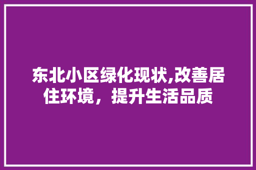 东北小区绿化现状,改善居住环境，提升生活品质