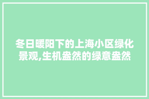 冬日暖阳下的上海小区绿化景观,生机盎然的绿意盎然 无土育苗