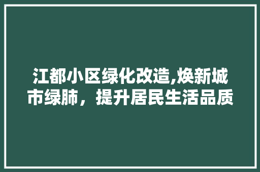 江都小区绿化改造,焕新城市绿肺，提升居民生活品质