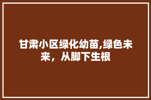甘肃小区绿化幼苗,绿色未来，从脚下生根 蔬菜育苗