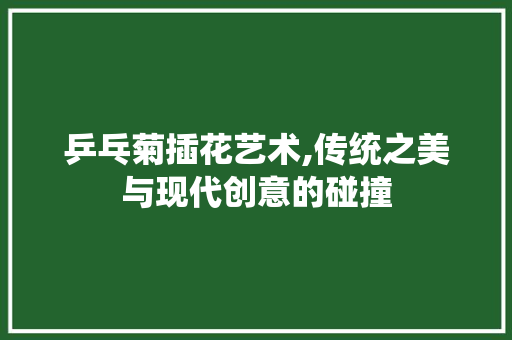 乒乓菊插花艺术,传统之美与现代创意的碰撞