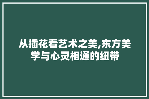 从插花看艺术之美,东方美学与心灵相通的纽带