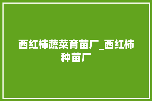 西红柿蔬菜育苗厂_西红柿种苗厂