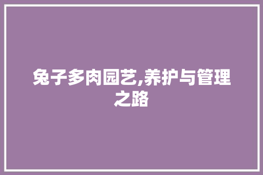兔子多肉园艺,养护与管理之路