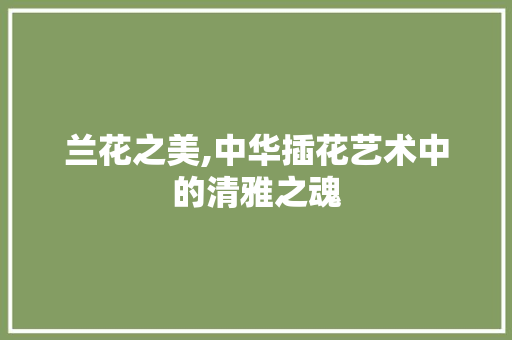 兰花之美,中华插花艺术中的清雅之魂