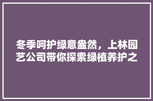 冬季呵护绿意盎然，上林园艺公司带你探索绿植养护之路