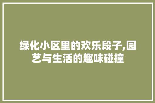 绿化小区里的欢乐段子,园艺与生活的趣味碰撞 有机育苗
