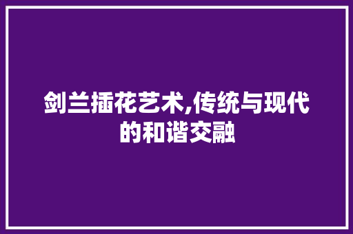 剑兰插花艺术,传统与现代的和谐交融